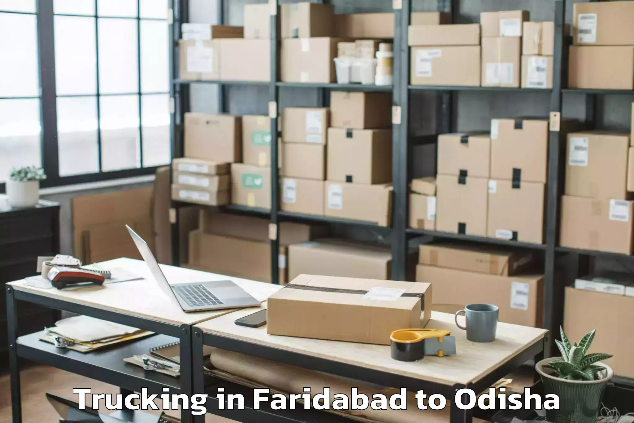 Book Faridabad to Anugul Trucking